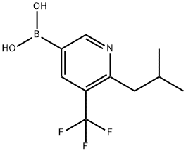 2225176-60-1 6-(iso-Butyl)-5-trifluoromethylpyridine-3-boronic acid