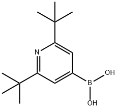2,6-BIS(TERT-BUTYL)PYRIDINE-4-BORONIC ACID|