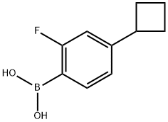 2-Fluoro-4-(cyclobutyl)phenylboronic acid, 2225181-07-5, 结构式