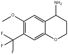 6-METHOXY-7-(TRIFLUOROMETHYL)CHROMANE-4-YLAMINE 结构式
