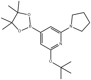 2-(tert-butoxy)-6-(pyrrolidin-1-yl)-4-(4,4,5,5-tetramethyl-1,3,2-dioxaborolan-2-yl)pyridine|