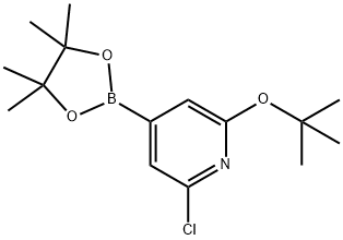 2-(tert-butoxy)-6-chloro-4-(4,4,5,5-tetramethyl-1,3,2-dioxaborolan-2-yl)pyridine Structure