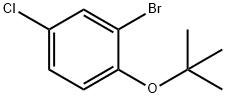 2-溴-1-(叔丁氧基)-4-氯苯,870614-09-8,结构式