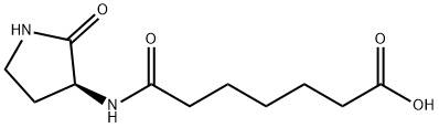(S)-7-oxo-7-((2-oxopyrrolidin-3-yl)amino)heptanoic acid Structure