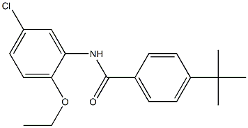 4-(tert-butyl)-N-(5-chloro-2-ethoxyphenyl)benzamide 化学構造式