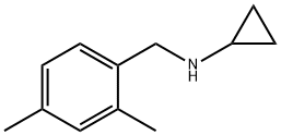 926185-86-6 N-(2,4-dimethylbenzyl)cyclopropanamine