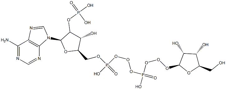 [(2R,3R,4R,5R)-2-(6-aminopurin-9-yl)-5-[[[[(2S,3R,4S,5R)-3,4-dihydroxy-5-(hydroxymethyl)oxolan-2-yl]oxy-hydroxy-phosphoryl]oxy-hydroxy-phosphoryl]oxymethyl]-4-hydroxy-oxolan-3-yl]oxyphosphonic acid Struktur