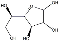 galactofuranose Structure