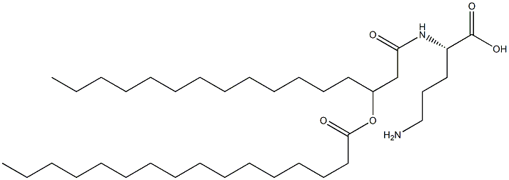 3-(hexadecanoyloxy)hexadecanoyl-ornithine|