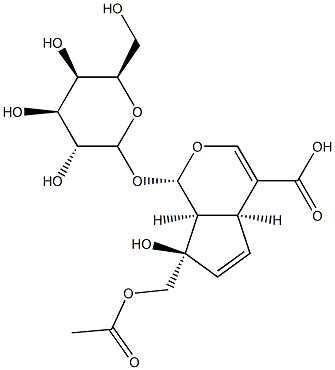 (1S,2S,6S,9R)-9-(acetyloxymethyl)-9-hydroxy-2-[(2S,3R,4S,5R,6R)-3,4,5-trihydroxy-6-(hydroxymethyl)oxan-2-yl]oxy-3-oxabicyclo[4.3.0]nona-4,7-diene-5-carboxylic acid Structure