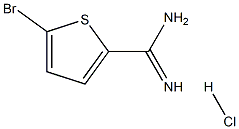 5-Bromo-thiophene-2-carboxamidine HCl Structure