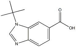 1-TERT-BUTYL-1H-BENZIMIDAZOLE-6-CARBOXYLIC ACID Structure