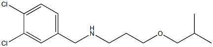 [(3,4-dichlorophenyl)methyl][3-(2-methylpropoxy)propyl]amine