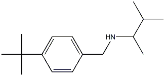 [(4-tert-butylphenyl)methyl](3-methylbutan-2-yl)amine