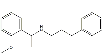 [1-(2-methoxy-5-methylphenyl)ethyl](3-phenylpropyl)amine Struktur