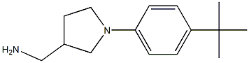 [1-(4-tert-butylphenyl)pyrrolidin-3-yl]methylamine Struktur