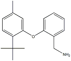 [2-(2-tert-butyl-5-methylphenoxy)phenyl]methanamine Struktur