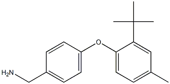 [4-(2-tert-butyl-4-methylphenoxy)phenyl]methanamine