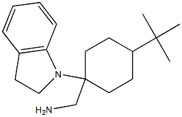 [4-tert-butyl-1-(2,3-dihydro-1H-indol-1-yl)cyclohexyl]methanamine 结构式