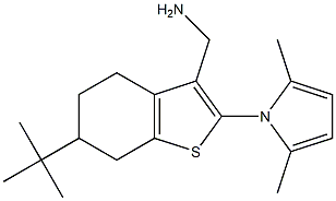 [6-tert-butyl-2-(2,5-dimethyl-1H-pyrrol-1-yl)-4,5,6,7-tetrahydro-1-benzothien-3-yl]methylamine Struktur