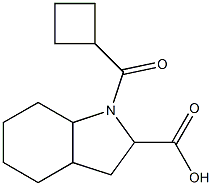 1-(cyclobutylcarbonyl)octahydro-1H-indole-2-carboxylic acid Structure