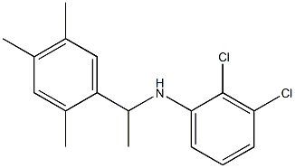 2,3-dichloro-N-[1-(2,4,5-trimethylphenyl)ethyl]aniline