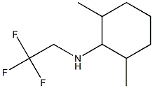 2,6-dimethyl-N-(2,2,2-trifluoroethyl)cyclohexan-1-amine Structure