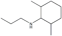 2,6-dimethyl-N-propylcyclohexan-1-amine Structure