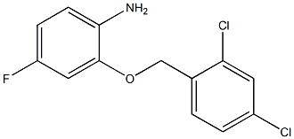 2-[(2,4-dichlorophenyl)methoxy]-4-fluoroaniline Structure
