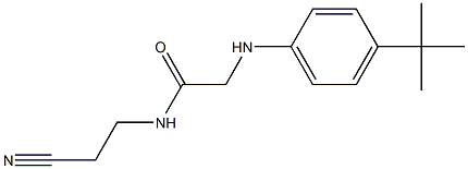 2-[(4-tert-butylphenyl)amino]-N-(2-cyanoethyl)acetamide 结构式