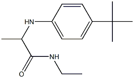 2-[(4-tert-butylphenyl)amino]-N-ethylpropanamide Struktur