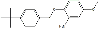 2-[(4-tert-butylphenyl)methoxy]-5-methoxyaniline 结构式