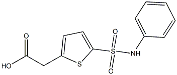 2-[5-(phenylsulfamoyl)thiophen-2-yl]acetic acid Struktur
