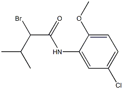 2-bromo-N-(5-chloro-2-methoxyphenyl)-3-methylbutanamide Structure