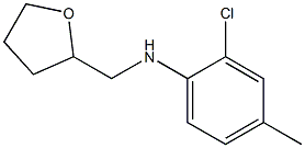 2-chloro-4-methyl-N-(oxolan-2-ylmethyl)aniline 结构式