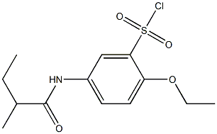2-ethoxy-5-(2-methylbutanamido)benzene-1-sulfonyl chloride Struktur