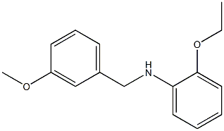 2-ethoxy-N-[(3-methoxyphenyl)methyl]aniline Struktur