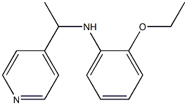 2-ethoxy-N-[1-(pyridin-4-yl)ethyl]aniline Struktur