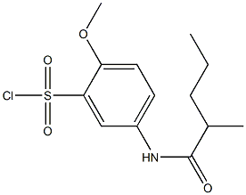 2-methoxy-5-(2-methylpentanamido)benzene-1-sulfonyl chloride Structure