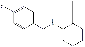 2-tert-butyl-N-[(4-chlorophenyl)methyl]cyclohexan-1-amine Structure