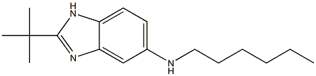 2-tert-butyl-N-hexyl-1H-1,3-benzodiazol-5-amine|