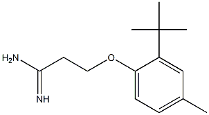 3-(2-tert-butyl-4-methylphenoxy)propanimidamide Struktur