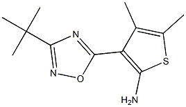 3-(3-tert-butyl-1,2,4-oxadiazol-5-yl)-4,5-dimethylthiophen-2-amine Struktur