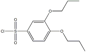 3,4-dipropoxybenzenesulfonyl chloride Structure