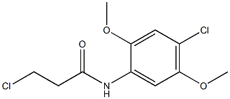 3-chloro-N-(4-chloro-2,5-dimethoxyphenyl)propanamide Structure