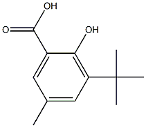 3-tert-butyl-2-hydroxy-5-methylbenzoic acid Structure