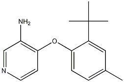 4-(2-tert-butyl-4-methylphenoxy)pyridin-3-amine Struktur