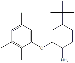 4-tert-butyl-2-(2,3,5-trimethylphenoxy)cyclohexan-1-amine