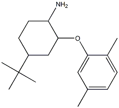 4-tert-butyl-2-(2,5-dimethylphenoxy)cyclohexan-1-amine 结构式