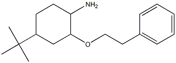 4-tert-butyl-2-(2-phenylethoxy)cyclohexan-1-amine